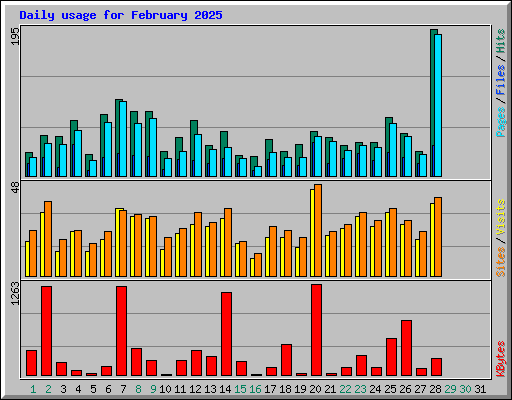 Daily usage for February 2025