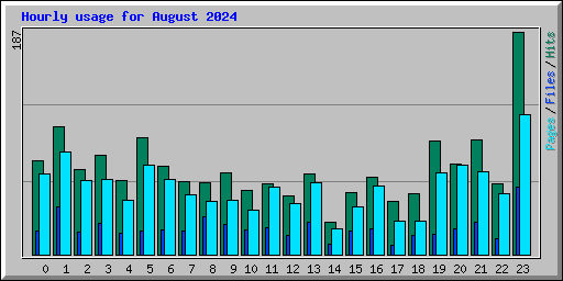 Hourly usage for August 2024