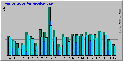 Hourly usage for October 2024