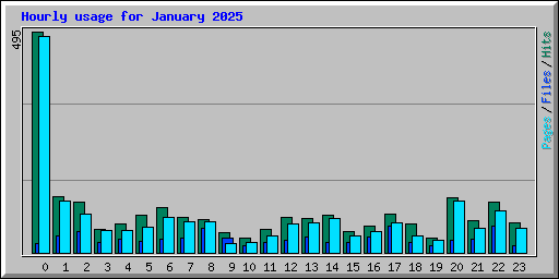 Hourly usage for January 2025
