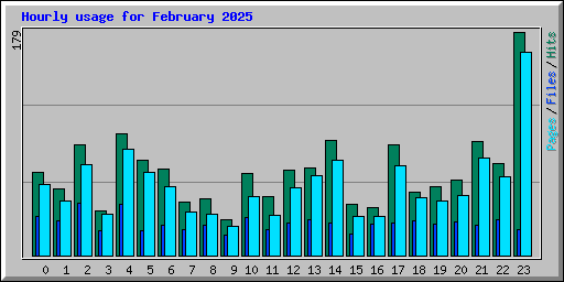 Hourly usage for February 2025