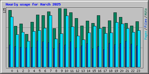 Hourly usage for March 2025
