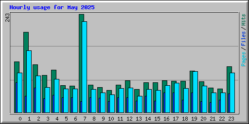 Hourly usage for May 2025