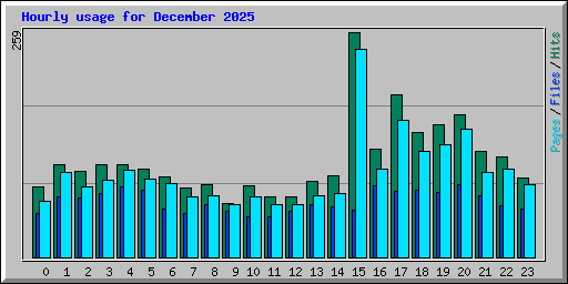 Hourly usage for December 2025