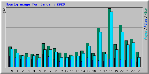 Hourly usage for January 2026