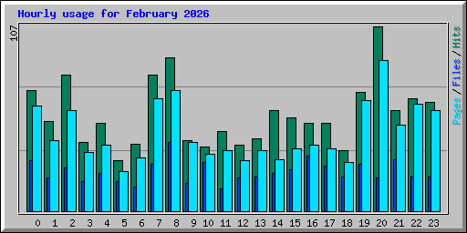 Hourly usage for February 2026